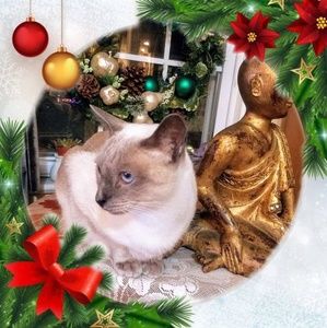 Meet your Posher, Antoinette